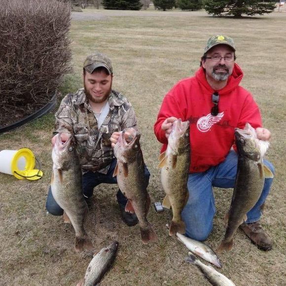 Meet your Posher, Joshua - Picture 1 of 1